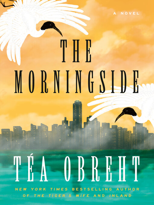 Title details for The Morningside by Téa Obreht - Available